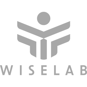 Praca WiseLab