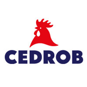 logo firmy