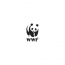 Fundacja WWF Polska - Koordynator/ka ds. finansowo-administracyjnych w projektach