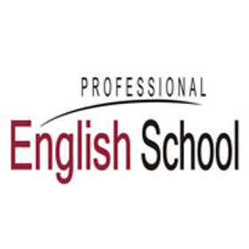 Professional English School