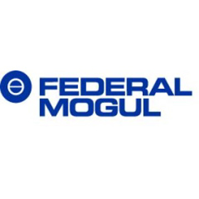 Federal-Mogul Financial Services Poland Sp. z o.o.