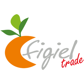 Figiel Trade Sp. z o.o. Sp. k.